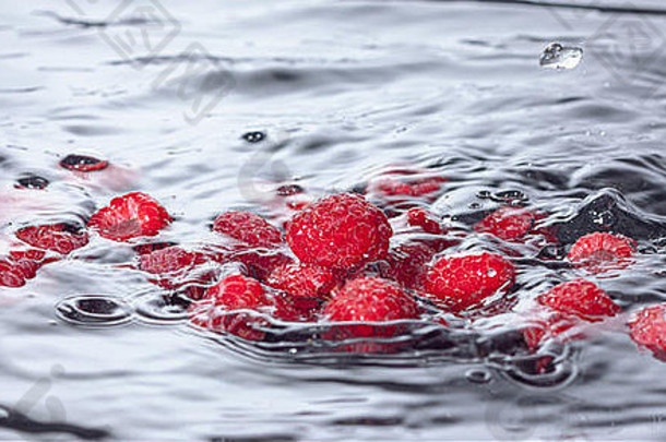 红色的树莓下降了水飞溅特写镜头