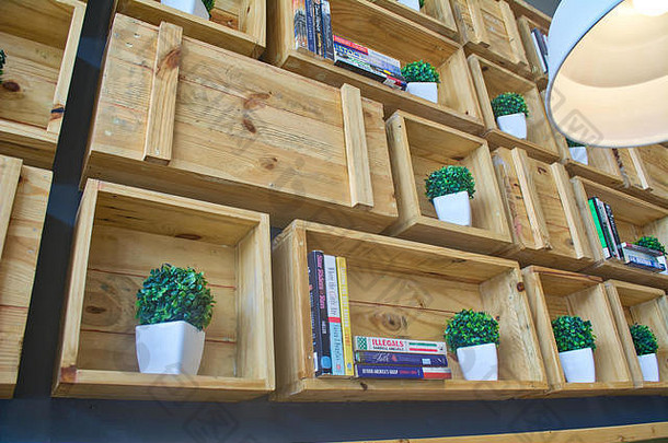 架子上完整的能植物书餐厅马尼拉菲律宾