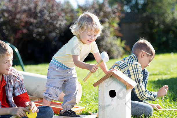 男孩使禽舍鸟花园夏天阳光明媚的一天