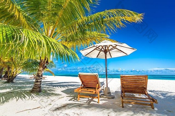热带天堂海滩白色沙子椰子树手掌旅行旅游景观奢侈品假期假期横幅热带海滩度假胜地概念