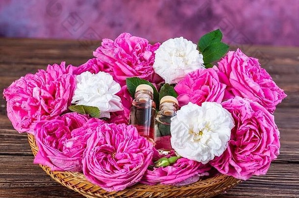 粉红色的白色大马士革玫瑰篮子瓶玫瑰本质