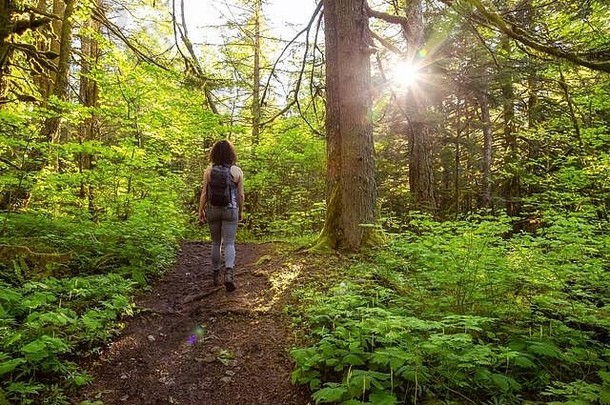 喜欢冒险的女孩徒步旅行绿色充满活力的雨森林
