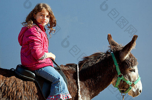 驴骡子孩子女孩骑快乐微笑蓝色的