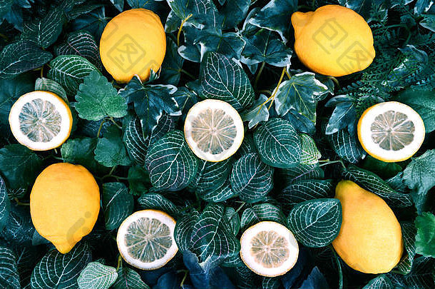 柑橘类背景各种各样的新鲜的柠檬水果叶子
