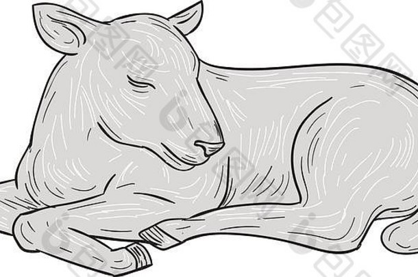 画草图风格插图羊肉睡觉集孤立的白色背景