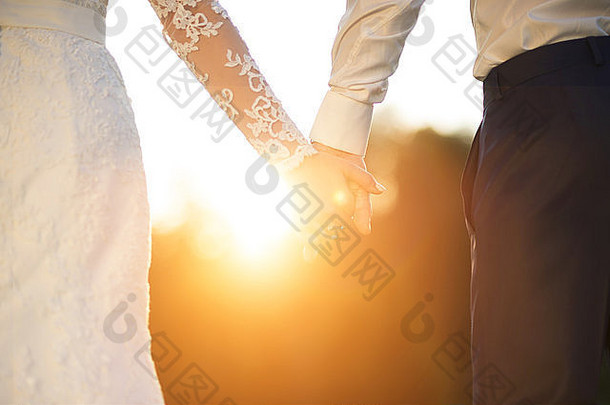 年轻的婚礼夫妇持有手享受浪漫的时刻夏天草地