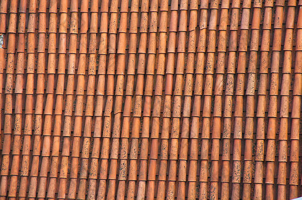 红色的粘土瓷砖屋顶背景塔林