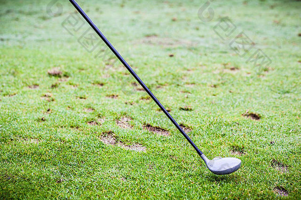 细节高尔夫球俱乐部高尔夫球球草坪上完整的草皮