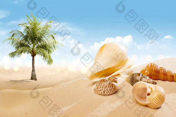 视图桑迪海滩贝壳棕榈树蓝色的天空背景