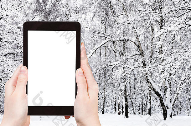 旅行概念旅游照片桦木格罗夫雪城市公园冬天莫斯科城市智能手机空断路屏幕空白温馨的
