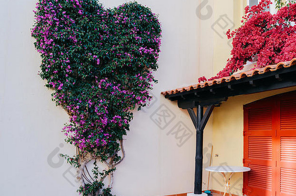 心形的紫色的绿色叶子花属墙别墅葡萄牙