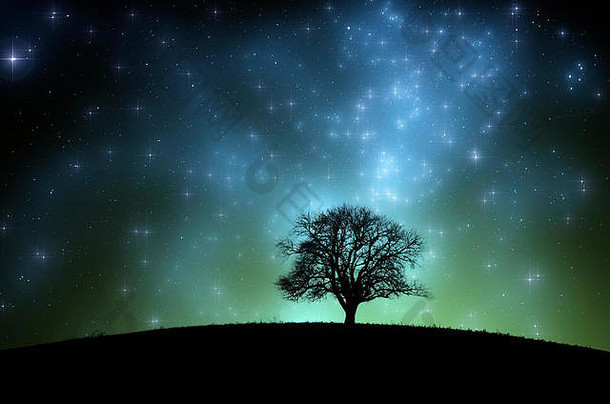 树山晚上景观布满星星的天空乳白色的超现实主义的风景