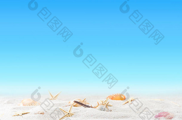 放松夏天异国情调的桑迪海滩概念模糊天空cakground