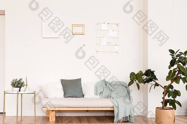 室内房间斯堪的那维亚风格房间沙发枕头毯子植物小表格