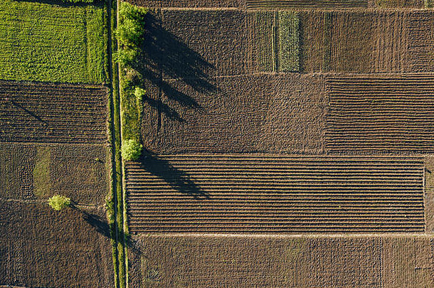 空中照片农业夏天视图绿色土地字段花园