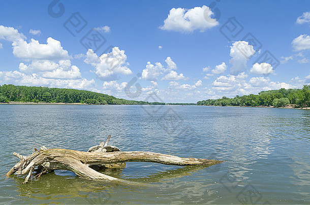 阳光明媚的多瑙河riverscape浮木多云的蓝色的天空