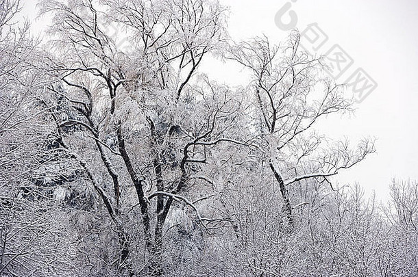 佛蒙特州冬天降雪场景