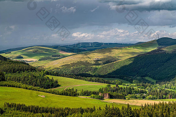 塞尔扣克苏格兰边界6月北泥炭法律南部高地实验后斜纹软呢谷