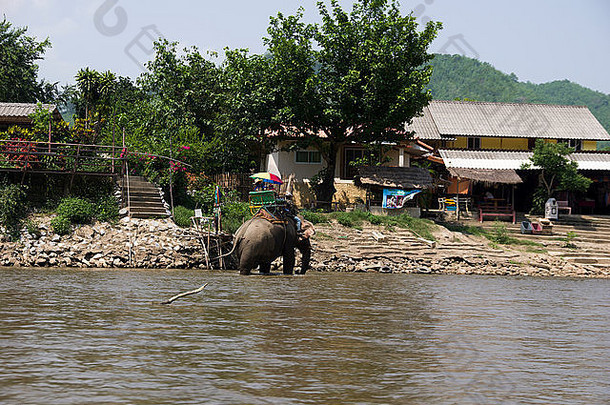 大象携带游客涉水河与村丛林景观北部泰国