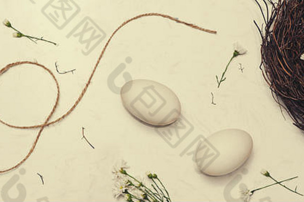 横幅庆祝复活节春天巢白色复活节鸡蛋首页