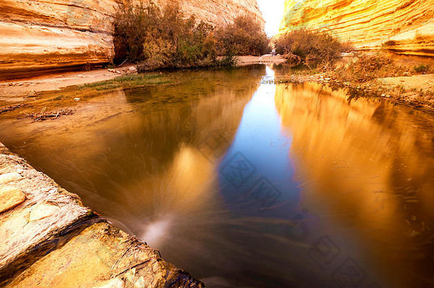 长exepuser水峡谷一个ovdat自然储备以色列