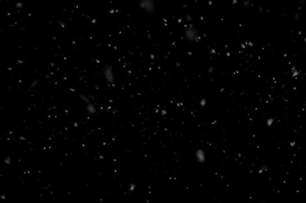 下降慢雪孤立的黑色的背景作曲运动图形大小雪雪花孤立的下降雪