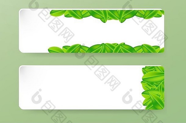 纸矩形装饰绿色叶形状树叶子安排