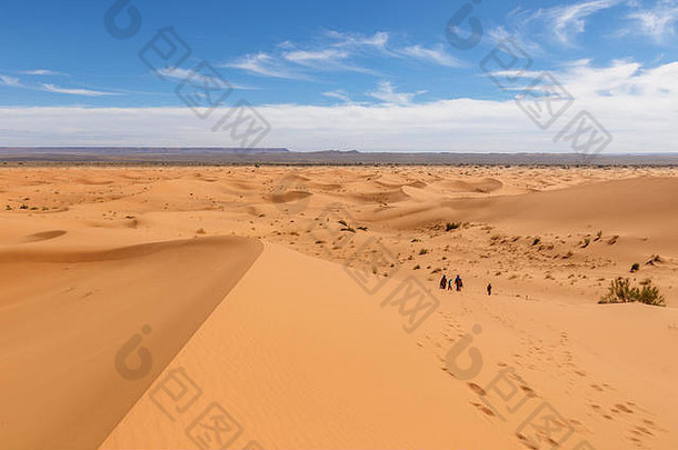沙子沙丘非常切比撒哈拉沙漠沙漠