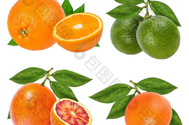 柑橘类水果集橘子橙色石灰孤立的白色背景