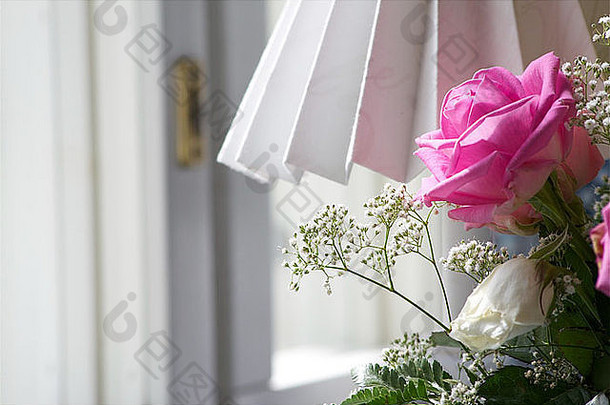 美丽的孤独的粉红色的玫瑰前面窗口