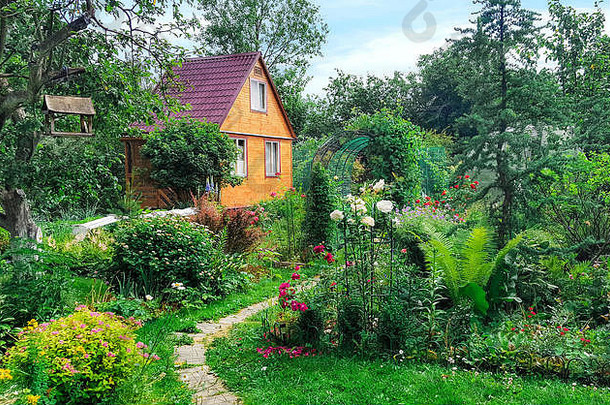 夏天木房子背景绿色花园景观