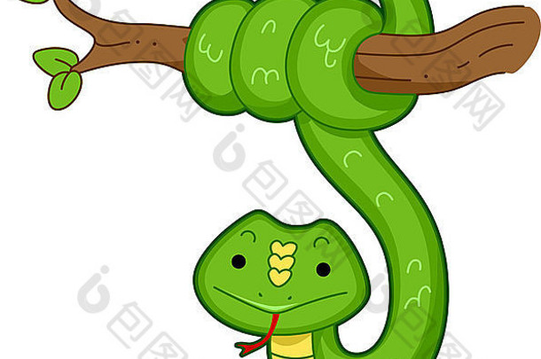 插图蛇挂分支树