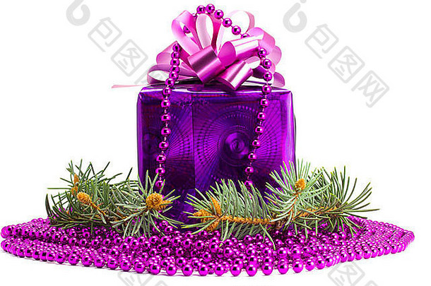 紫罗兰色的礼物点缀Fur-tree白色孤立的背景