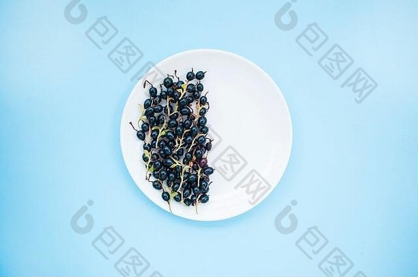 新鲜的黑莓清晰的白色板柔和的蓝色的背景