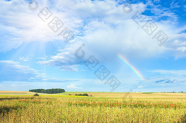 彩虹阳光蓝色的多云的天空夏天小麦场