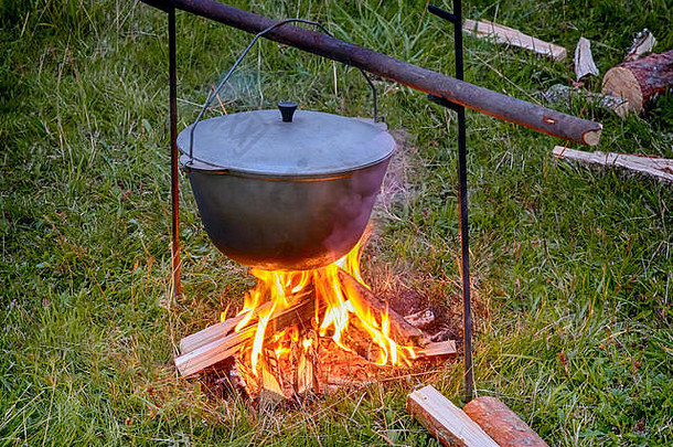 清算森林晚上火能烹饪食物