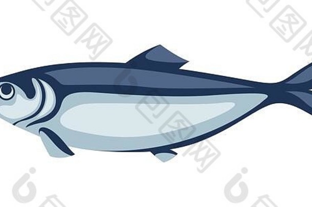 插图鲱鱼鱼太平洋沙丁鱼