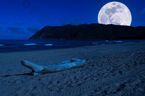 晚上景观海滩超级月亮