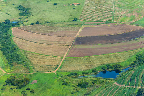 飞行一个视图农田作物耕种字段大坝景观夏天绿色照片