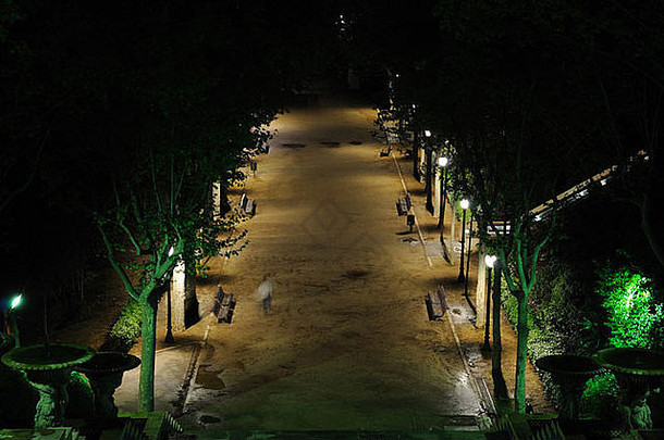 公园晚上巴塞罗那西班牙