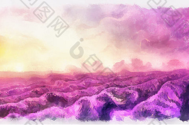 阿夸瑞尔绘画薰衣草字段帆布日落景观粉红色的紫色的太阳光颜色插图