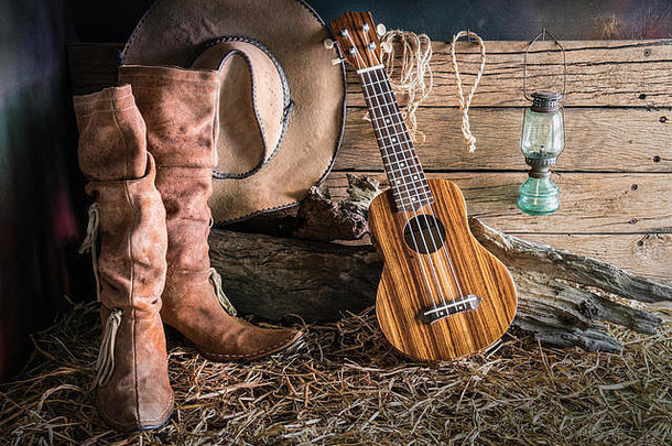 生活绘画摄影尤克里里琴美国西牛仔竞技表演棕色（的）感觉牛仔他传统的皮革靴子古董牧场精品背气