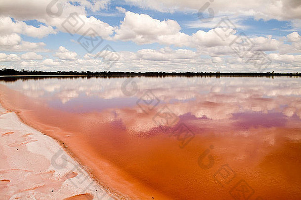 非凡的盐湖粉红色的湖丁布拉澳大利亚