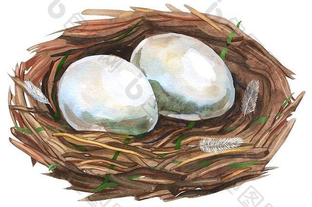 手画水彩艺术鸟巢鸡蛋复活节设计