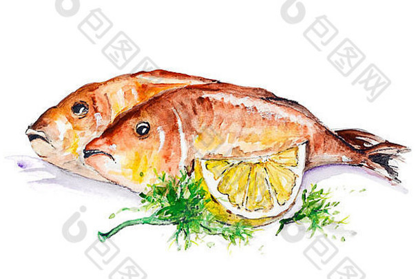 金鱼炸烧烤柠檬欧芹孤立的手工制作的水彩绘画插图白色纸艺术