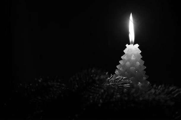 蜡烛形状枞树形圣诞节装饰黑色的白色