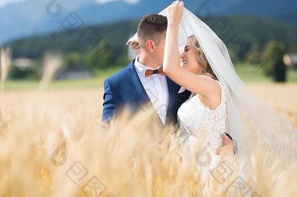 新郎拥抱新娘温柔风吹面纱小麦场斯洛维尼亚语农村