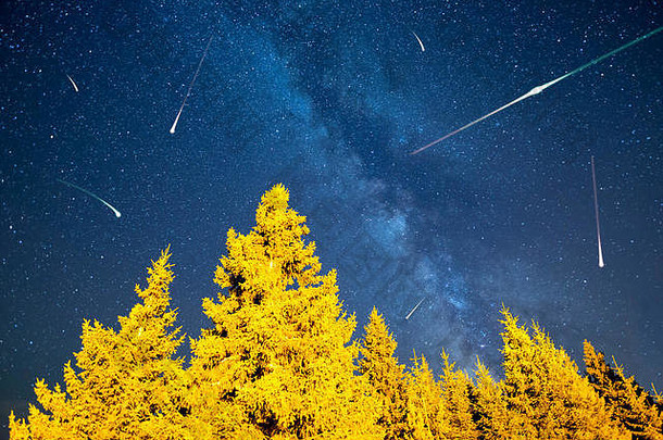 视图星星乳白色的松树森林前景晚上天空自然夏天景观流星本