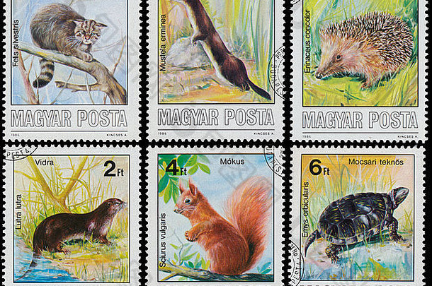 匈牙利约集邮票印刷匈牙利显示受保护的动物约