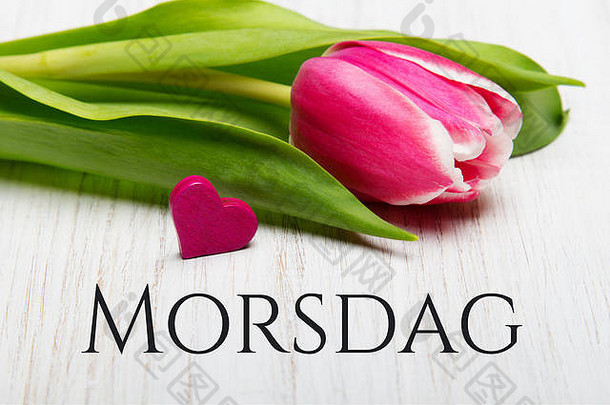 母亲的一天卡挪威单词母亲的一天郁金香flowerand小心白色木背景
